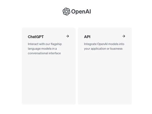 OpenAI にログイン後、API を選択