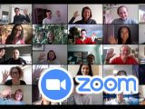 Zoom ミーティング管理プラグイン